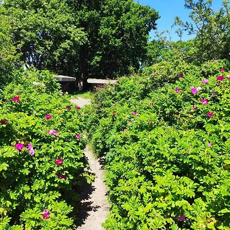 Dom wakacyjny 6 Person In Sjolund-by Traum *